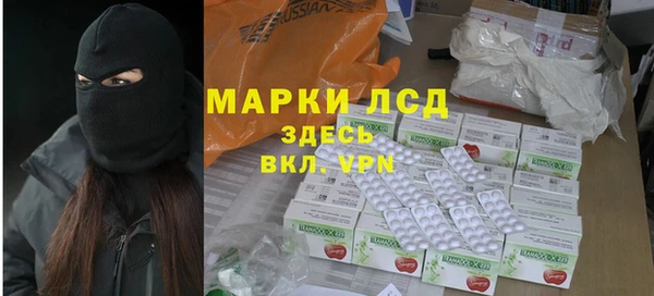 прущие грибы Майский
