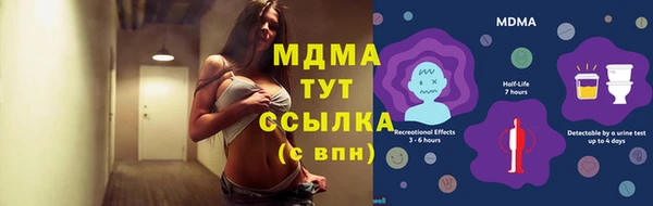 прущие грибы Майский