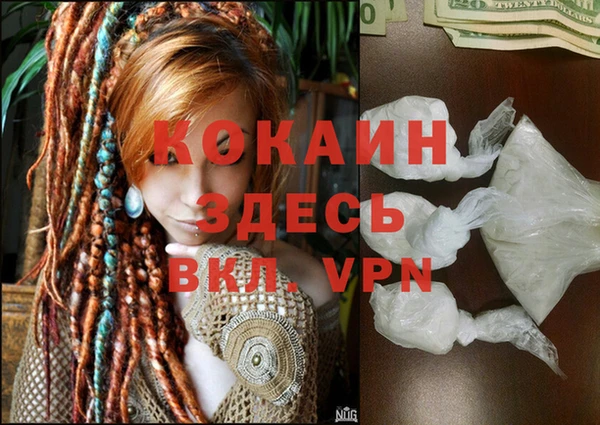 прущие грибы Майский
