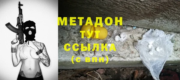прущие грибы Майский