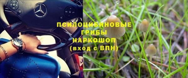 прущие грибы Майский