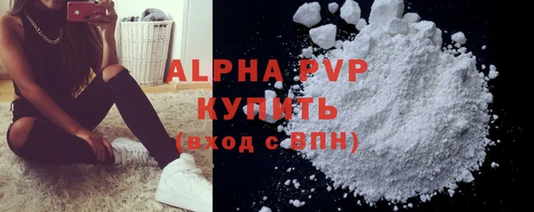 прущие грибы Майский