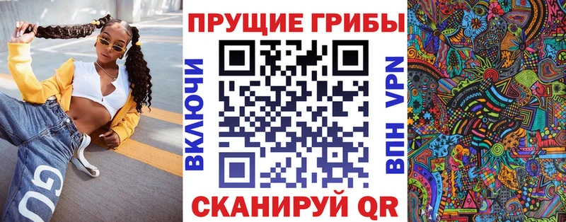 Псилоцибиновые грибы Psilocybine cubensis  Черняховск 