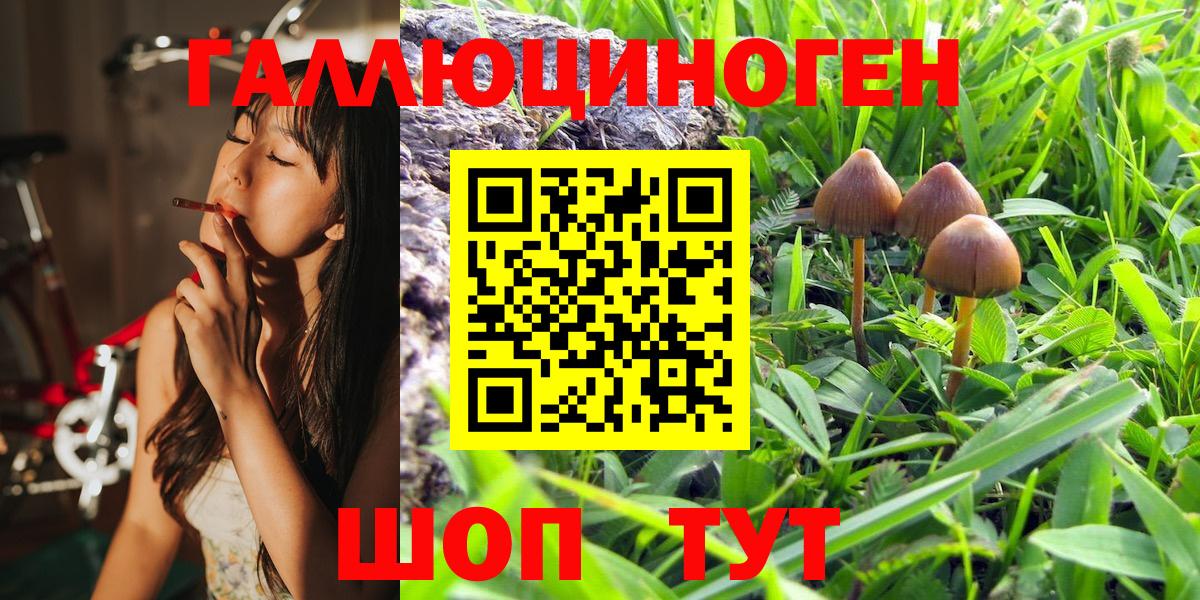 Галлюциногенные грибы мухоморы Черняховск