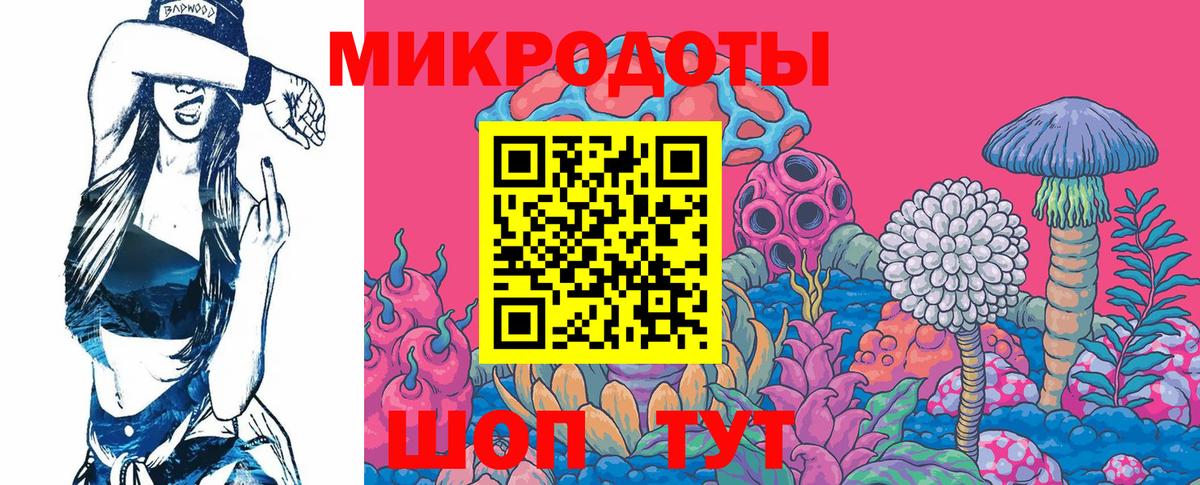 Псилоцибиновые грибы Psilocybe Черняховск