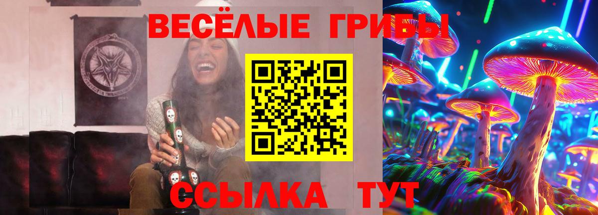 Галлюциногенные грибы GOLDEN TEACHER  Черняховск 